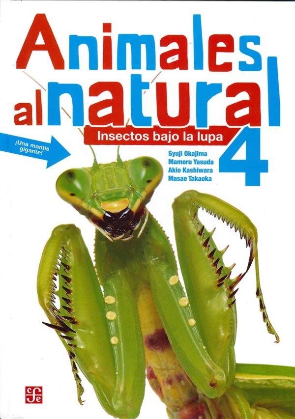 Animales al natural 4. Insectos bajo la lupa