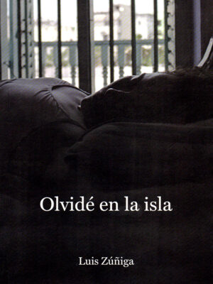 OLVIDÉ EN LA ISLA